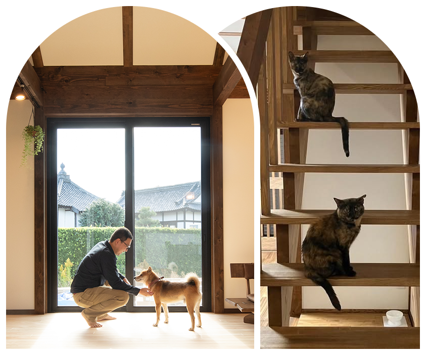 ペットとくつろぐ家はサイエンスホーム浜松店に！