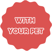 WITH YOUR PET