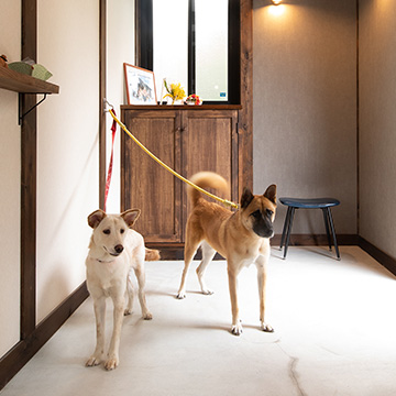犬